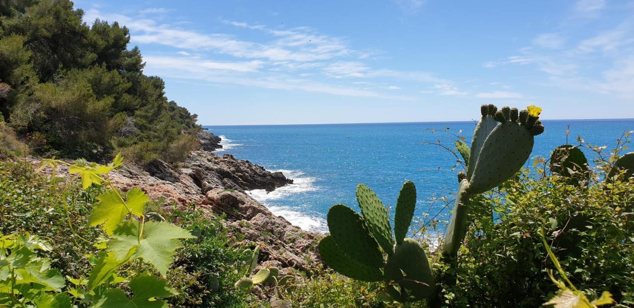 Apartment Les Caroubiers Roquebrune-Cap-Martin